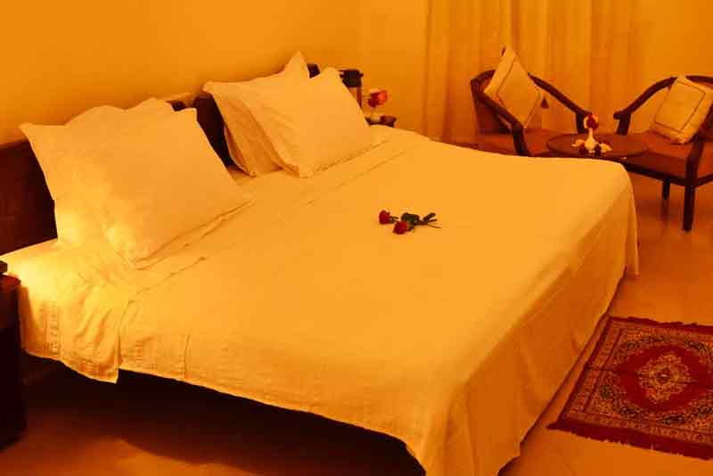 Ranthambore Forest Resort Room