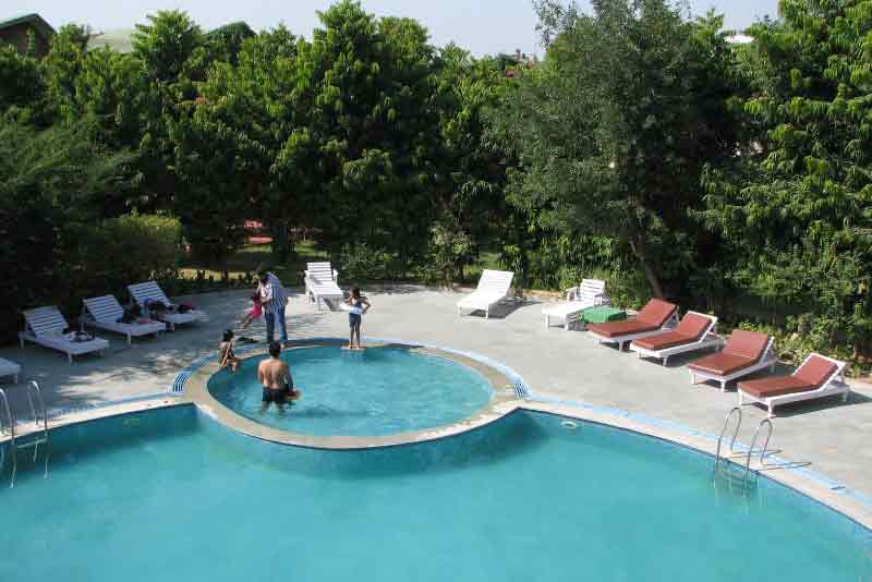 Forest Resort swimming pool